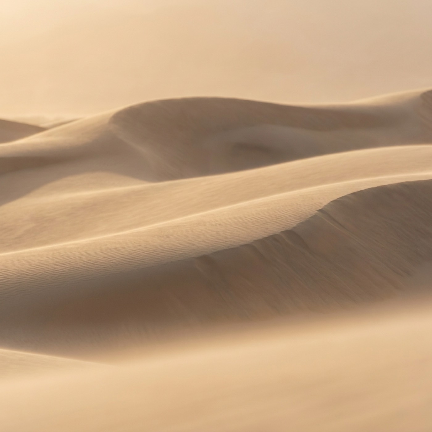 Soft sculptural dunes in warm golden light